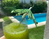 Foto del paso 2 de la receta: Jugo fresco 🧃