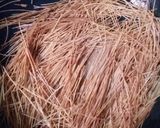 Brown Chinese spaghettimatakin girki2 hoto