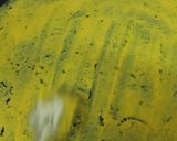 ખાંડવી (Khandvi Recipe in Gujarati) રેસીપી સ્ટેપ3ફોટો