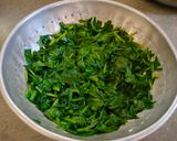 હરિયાળી નાન (Green Naan Recipe In Gujarati) રેસીપી સ્ટેપ1ફોટો