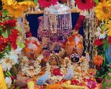 A picture of step 12 of Rath Yatra special chirote.