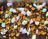 Φωτογραφία βήματος 4 της συνταγής Rocky Road Fudge
