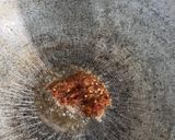 Foto langkah ke 2 dari resep Sate jamur.