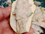 Batagor Tanpa Ikan