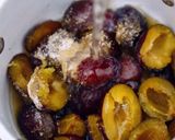 Szilvakompót (smarnihoz) recept fázis 4 fotója