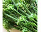 Foto langkah ke 1 dari resep Oseng Sayur Pakis/ Bajei.