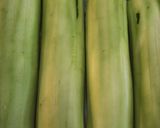 Csirkés - spenótos rakott cukkini recept fázis 2 fotója