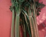 Foto del paso 1 de la receta: Agua de apio
