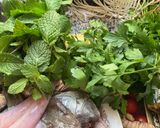Une image de l'étape 2 de LOUBIA 🌶️LÉGUMINEUSE 🫘 EN FÊTE 🥕 RECETTE ALGÉRIENNE 🧄🧅🫜🫚.