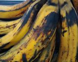 Foto langkah ke 1 dari resep Pisang Goreng Topping.