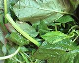 Foto langkah ke 1 dari resep Sayur Bayam berasa kencur 🤪.