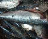 Foto langkah ke 4 dari resep Ikan goreng ketumbar.