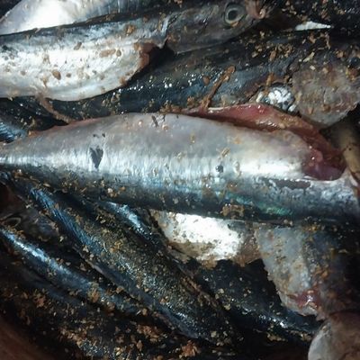 Langkah 4