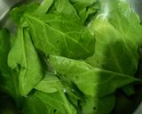 પાલક પત્તા ચાટ (Palak Leaves Chaat Recipe In Gujarati) રેસીપી સ્ટેપ1ફોટો