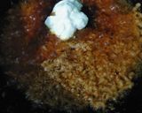 ডিম লাবাবদার (dim lababdar recipe in Bengali) রেসিপি ধাপ - 5 ছবি