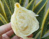 Foto langkah ke 10 dari resep Roti keset susu....lembut halus enaaak banget.