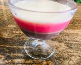 A picture of step 14 of Whosayna’s Neapolitan Pudding Parfait.