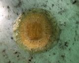 Foto langkah ke 4 dari resep CUCUR (cemilan simpel yg enak).