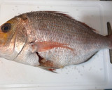 Foto del paso 1 de la receta: Pargo al horno