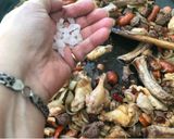 Foto del paso 6 de la receta: Discada de carnes con mejillones