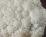 A picture of step 6 of Cauliflower paratha.