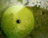 કિવિ સ્મૂધી (Kiwi Smoothie Recipe In Gujarati) રેસીપી સ્ટેપ2ફોટો