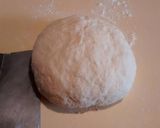 Foto del paso 2 de la receta: Pizzetitas 