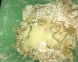 Foto del paso 4 de la receta: Gorditas de lechera