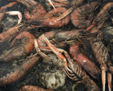 Foto del paso 4 de la receta: 73. Fideuá a mi manera (principal paella)