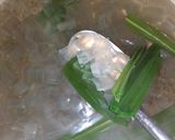 Foto langkah ke 2 dari resep Es lidah buaya dan kelapa Muda.