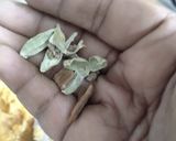 A picture of step 2 of Amla Muraba.