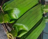 Foto langkah ke 5 dari resep Nasi Bakar Ayam.