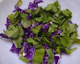 Foto del paso 3 de la receta: Cocinando con verduras - repollo morado, radicheta y zanahoria