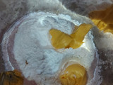 Pisang Molen