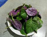 麻油炒紅菜的食譜步驟1照片