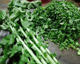 A picture of step 1 of Radiant roots garden salad 🥗.