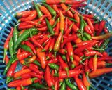Hình bước làm 1 của món Ớt ngâm mắm