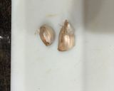 Foto del paso 5 de la receta: Judías verdes y zanahoria salteadas con jamón