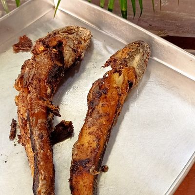 Langkah 5