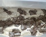 Foto del paso 5 de la receta: Mantecol casero con chocolate