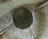 கறிவேப்பிலை மிளகு சிக்கன் பிரட்டல் ரெசிபி ஸ்டேப் 1 புகைப்படம்