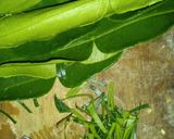 Foto langkah ke 1 dari resep Nasi daun jeruk.