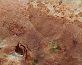 રવા ઢોસા (Rava Dosa Recipe In Gujarati) રેસીપી સ્ટેપ4ફોટો