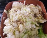 A picture of step 1 of Cabbage.