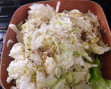 A picture of step 1 of Cabbage.