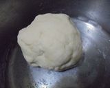 A picture of step 3 of Potstickers.
