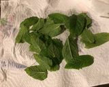 Une image de l'étape 7 de Crevettes marinées oignons de roscoff, ail fumé, citron vert, menthe et coco.
