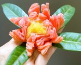 Hình bước làm 6 của món Bánh trung thu hoa sen