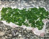 Foto del paso 2 de la receta: Matambre vacuno arrollado