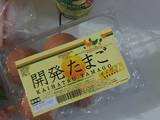 Isi bento box : tamagoyaki